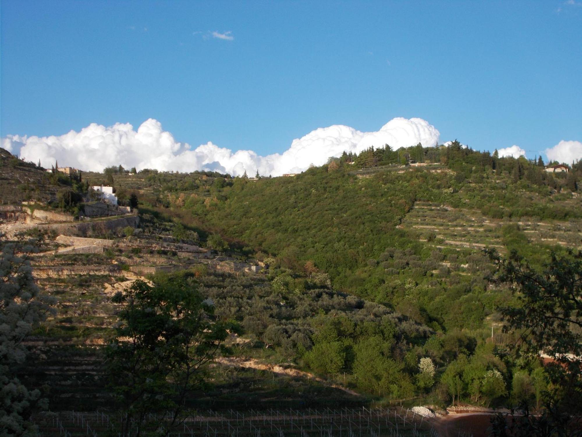 Montericco B&B Negrar Exterior photo
