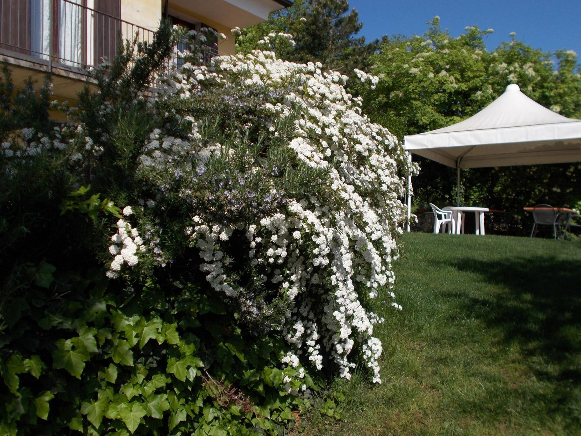 Montericco B&B Negrar Exterior photo